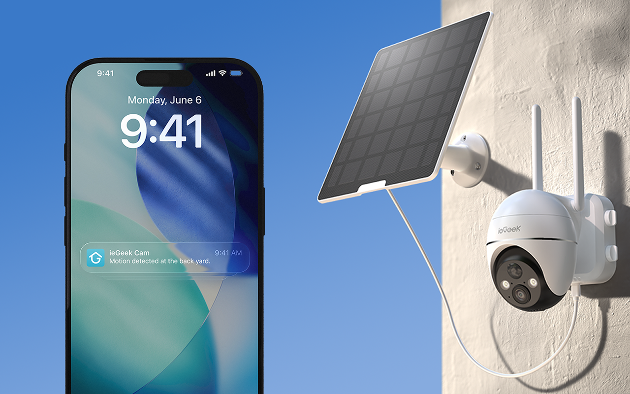 Alertes instantanées en direct